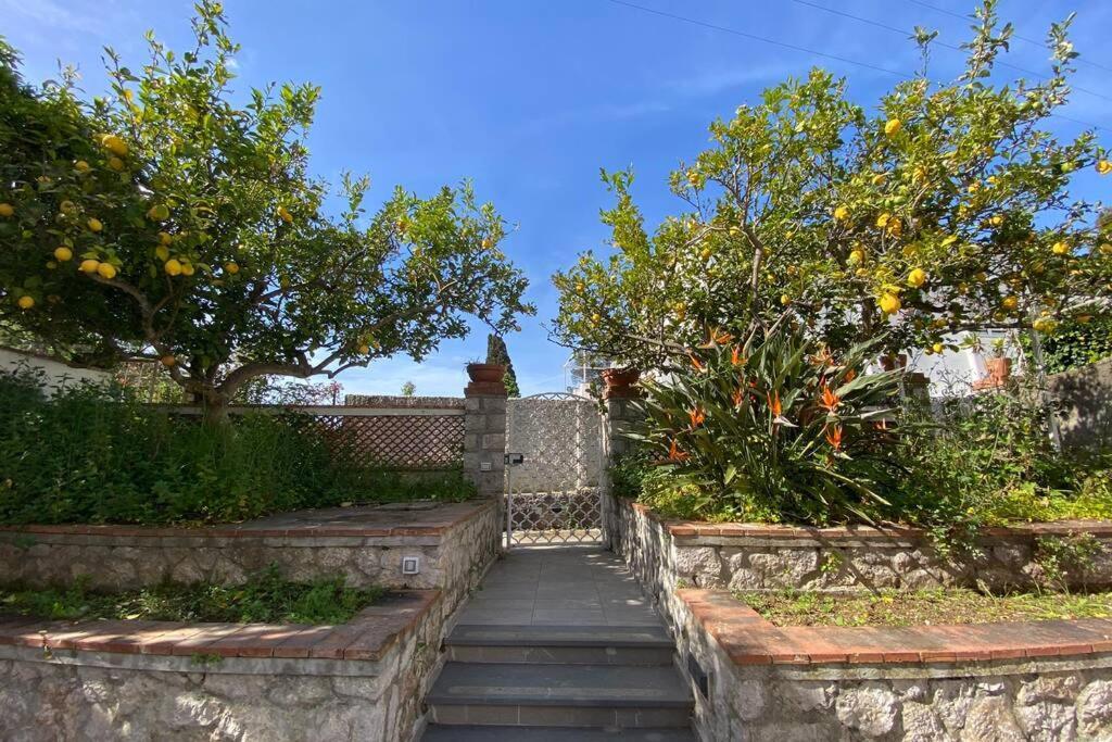 I Limoni Capri Apartment Ngoại thất bức ảnh